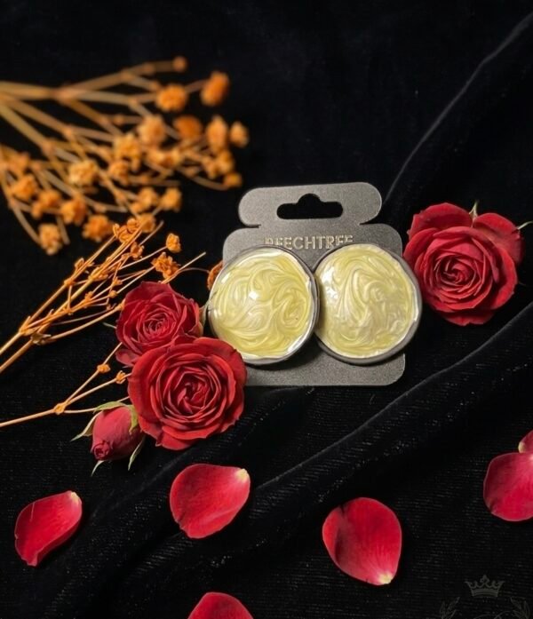 Beechtree stainless earings